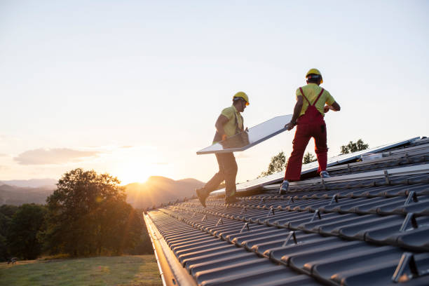 Best Roof Moss and Algae Removal  in Ripon, WI