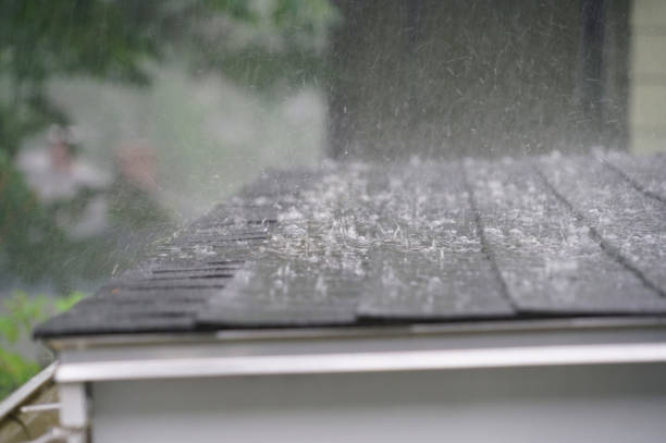 Best Storm Damage Roof Repair  in Ripon, WI