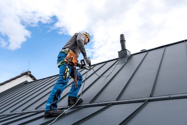 Best Roof Coating and Sealing  in Ripon, WI