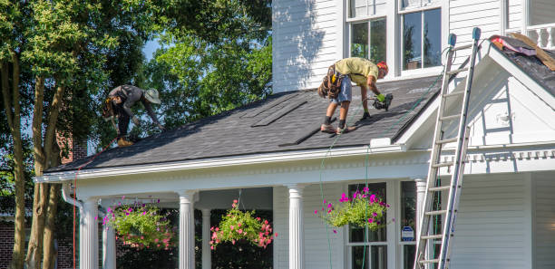 Best Roof Ventilation Installation  in Ripon, WI